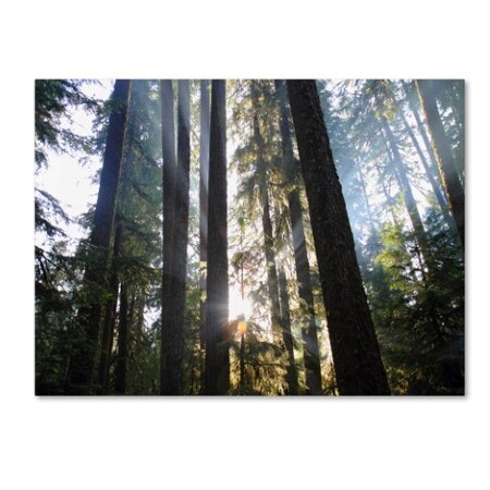 Trademark Fine Art Pierre Leclerc 'Sunrays' Canvas Art, 16x24 PL0070-C1624GG